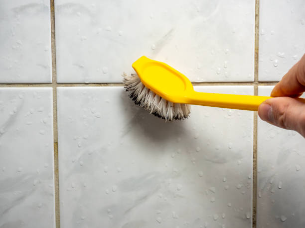 Best Mold Removal Company Near Me  in Hillside Lake, NY