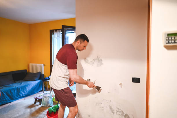 Best Home Mold Removal  in Hillside Lake, NY